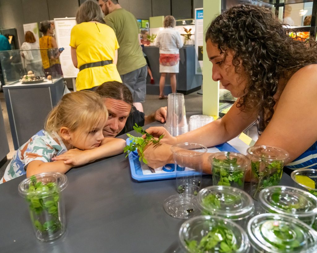 Florida Museum Researcher shows children live insect specimens