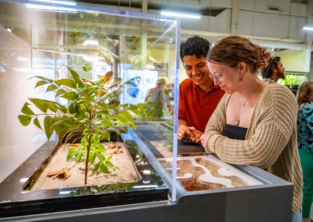 visitors look at live specimens in glass cases