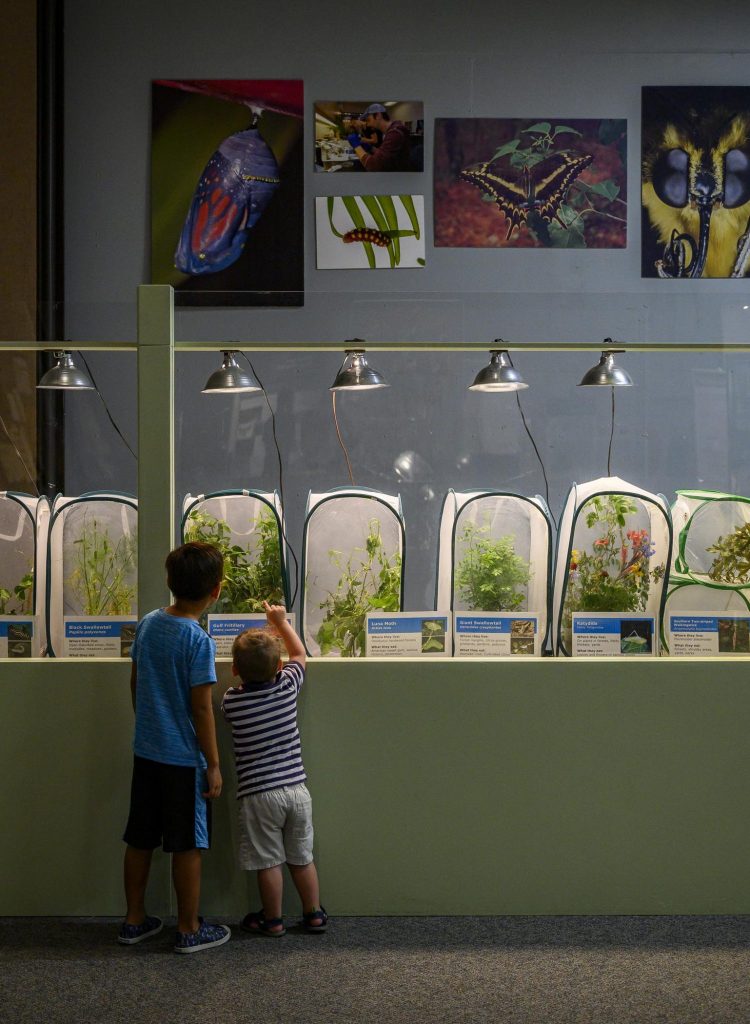 two children stand in front of a row of insect terrariums containing live plants and insects