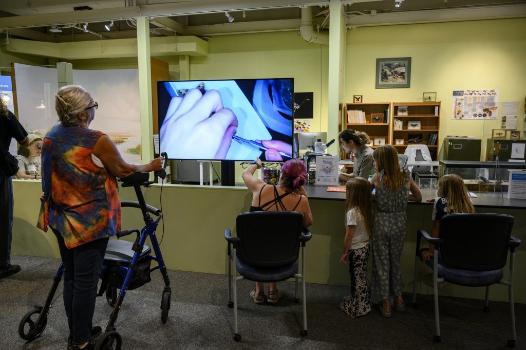 a group of people in a museum space are standing around a working lab and looking at a monitor showing closeups of a person working with a butterfly specimen