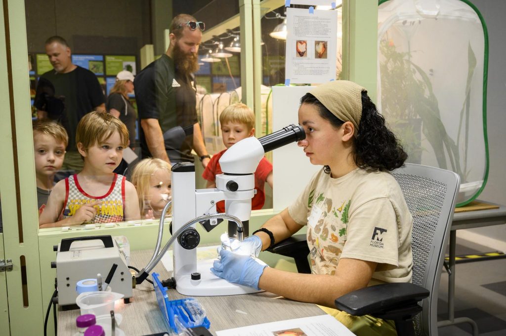 in the exhibits live lab a Florida Museum Researcher uses scientific equipment while visitors watch