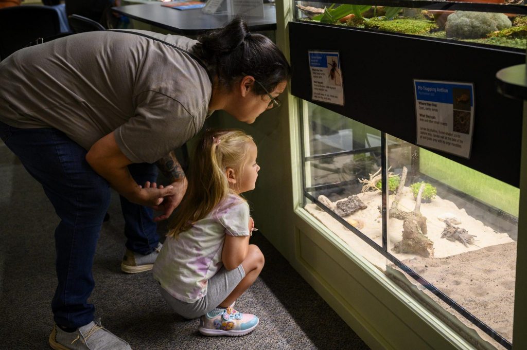 adult and child kneel in front of glass enclosures filled with live insects