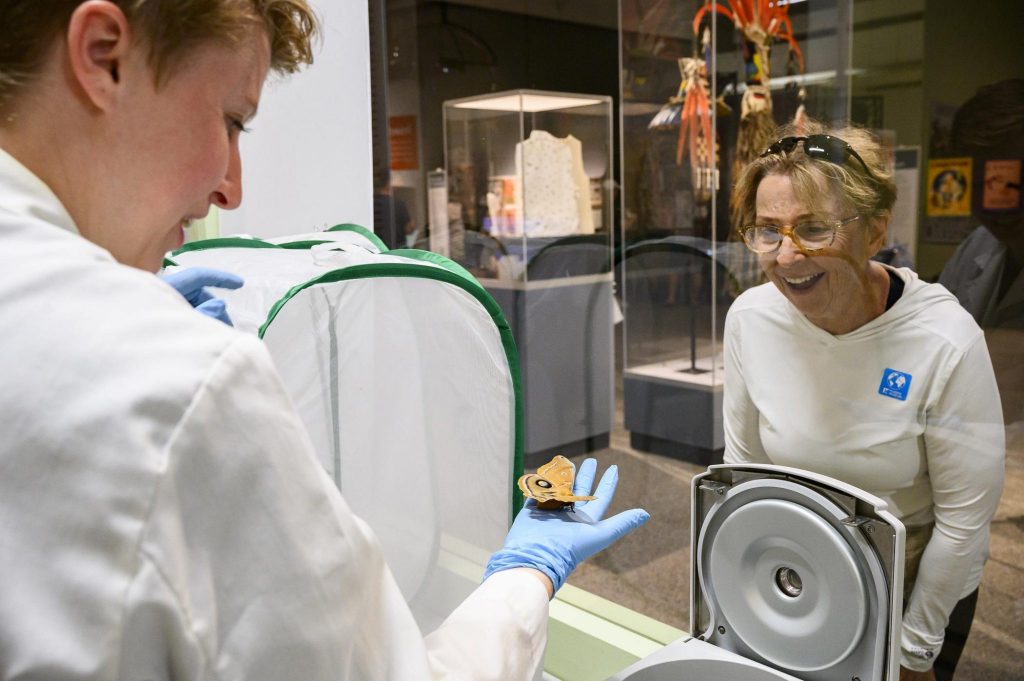 Florida Museum researcher in the live lab holds a moth while a visitor watches