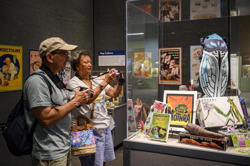 visitors look at display of insect-themed merchandise: books, posters, movies, toys and other items.