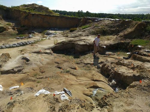 Richard Hulbert standing in the excavation pit