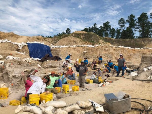 montbrook fossil dig