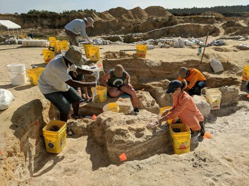 montbrook fossil dig