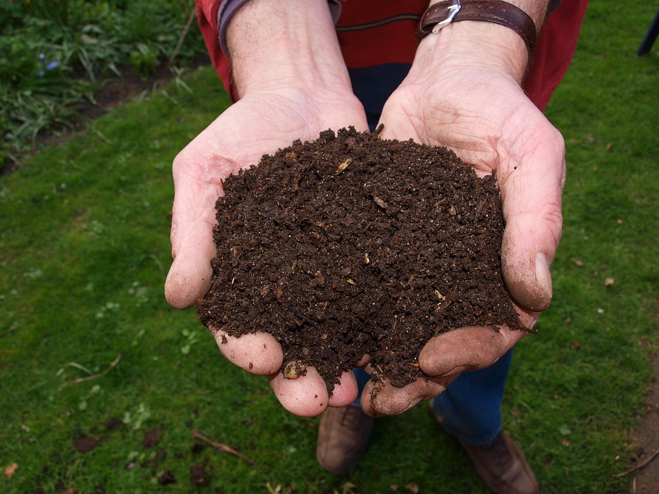 https://www.floridamuseum.ufl.edu/wp-content/uploads/sites/85/2019/08/Compost-in-Hands.jpg