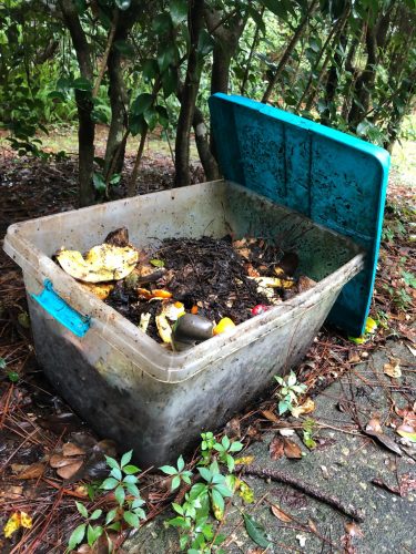 Home Compost Pile