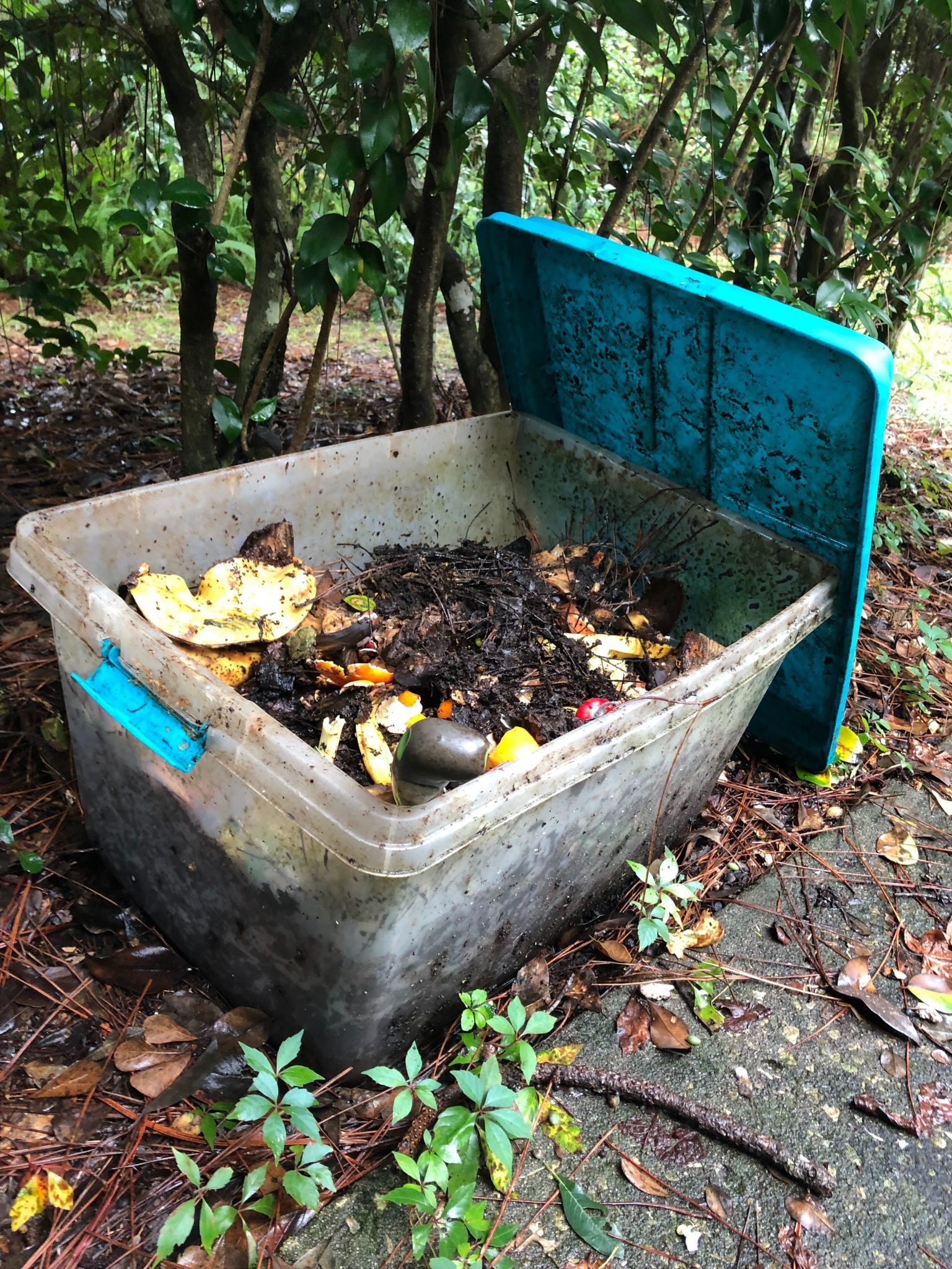 Action of the Month Try your Hand at Home Composting Thompson Earth