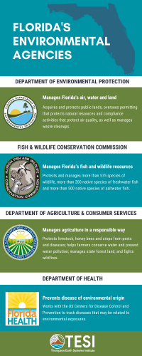 Meet The Florida Agencies Who Help Manage Our Environment – Thompson ...