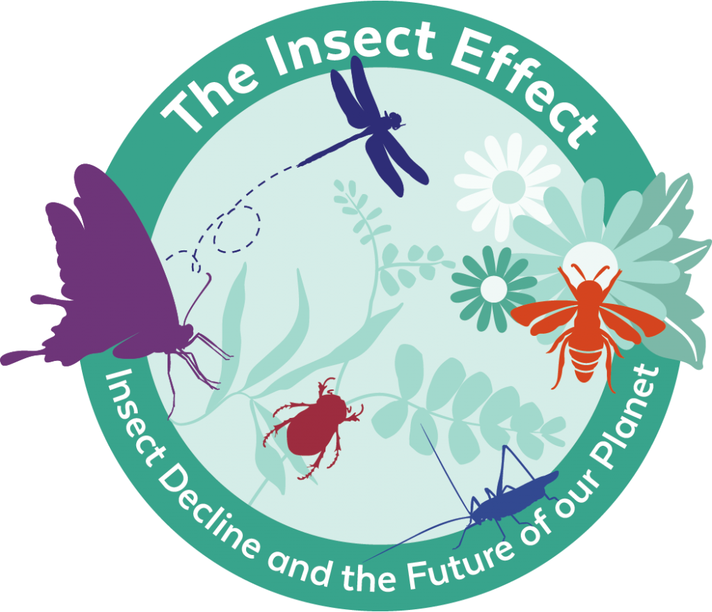 The Insect Effect Insect Decline and the Future of Our