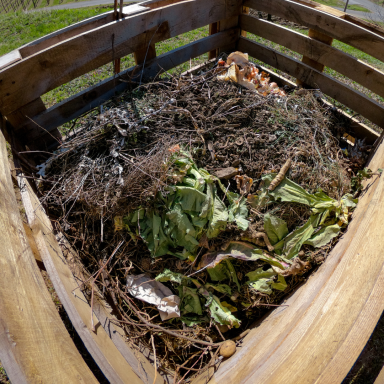 Action Of The Week: Try Your Hand At Home Composting – Thompson Earth ...