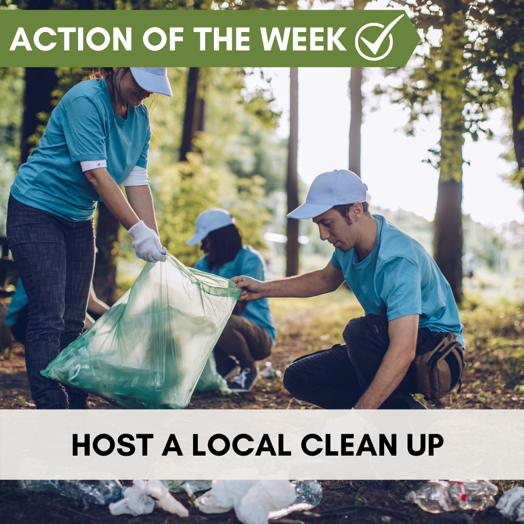 Action of the Week: Host a Local Clean Up – Thompson Earth Systems ...