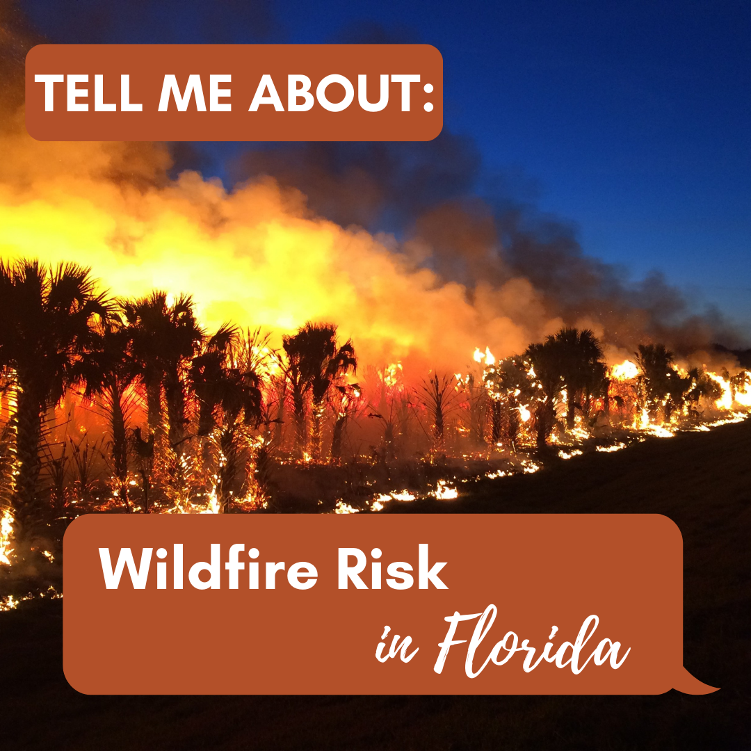 Tell Me About Wildfire Risk In Florida Thompson Earth Systems Institute