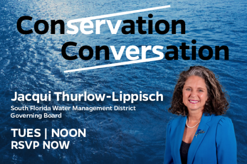 Conservation Conversation with Jacqui Thurlow-Lippisch