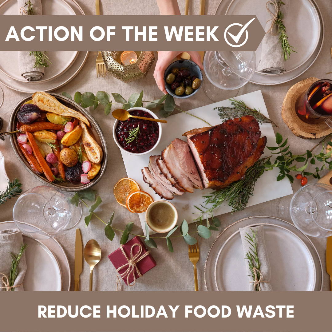 Action of the Week: Reduce Holiday Food Waste – Thompson Earth Systems Institute