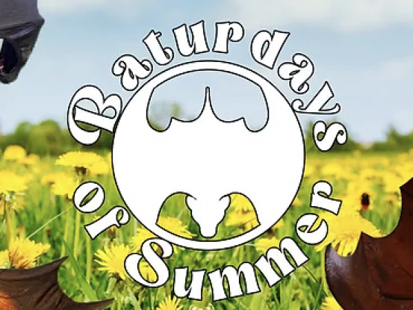 logo for baturdays of summer