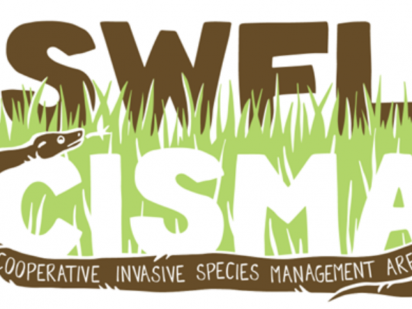 CISM logo of a snake in grass