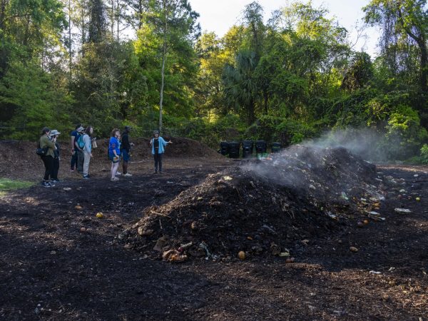 Students stand next to steaming compost pile.