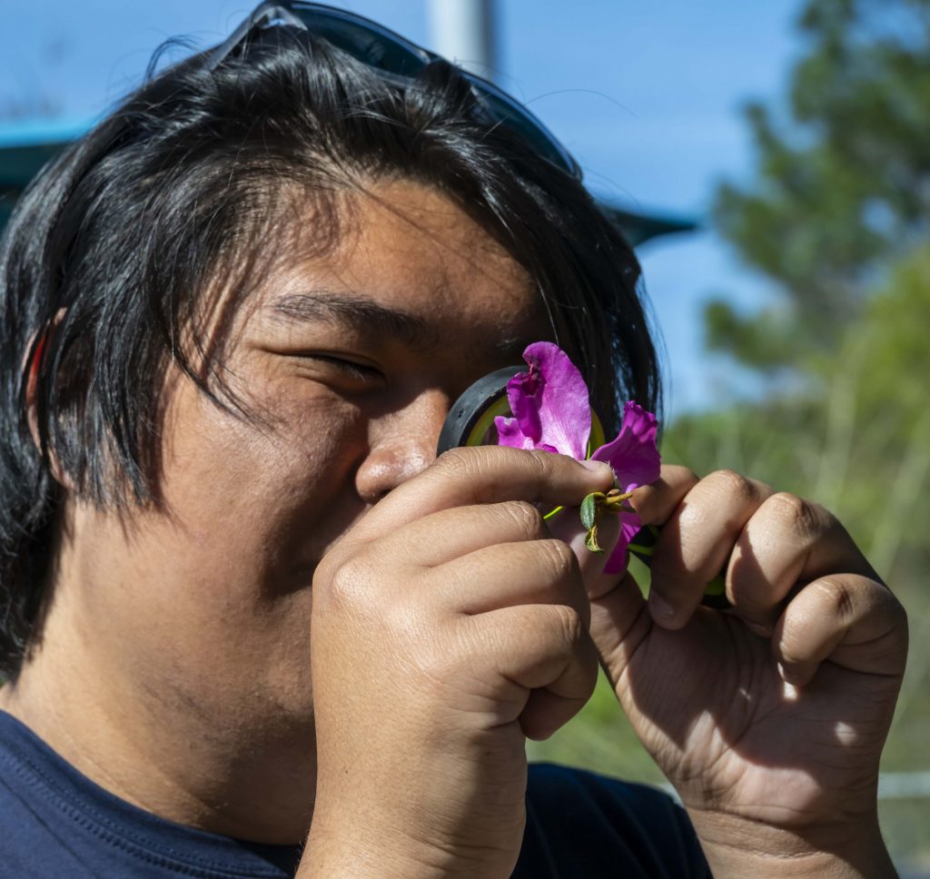 Gregory Nobleza looks at an azalea through a magnifying glass.