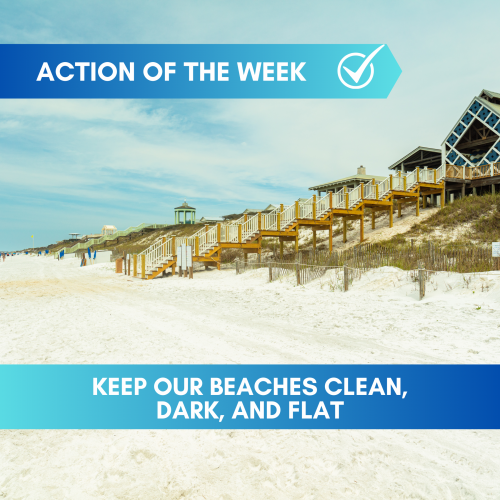 Keep our Beaches Clean, Dark, and Flat