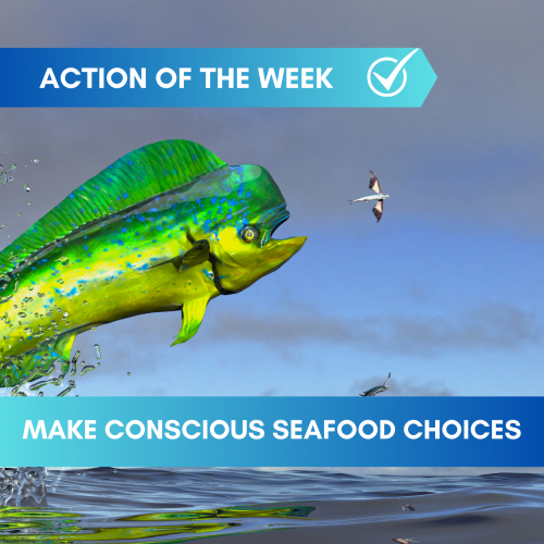Make Conscious Seafood Choices