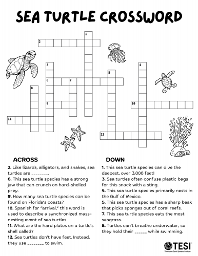 Sea Turtle Crossword