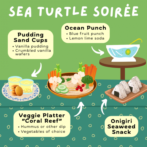 Sea Turtle Soiree