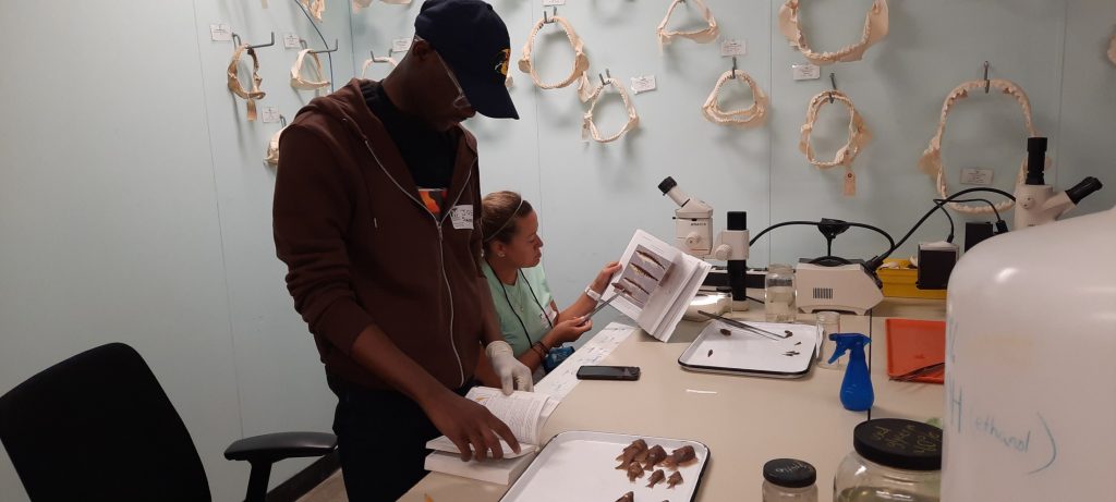 Joel flipping through a fish identification book to identify the fish on a tray in front of him.