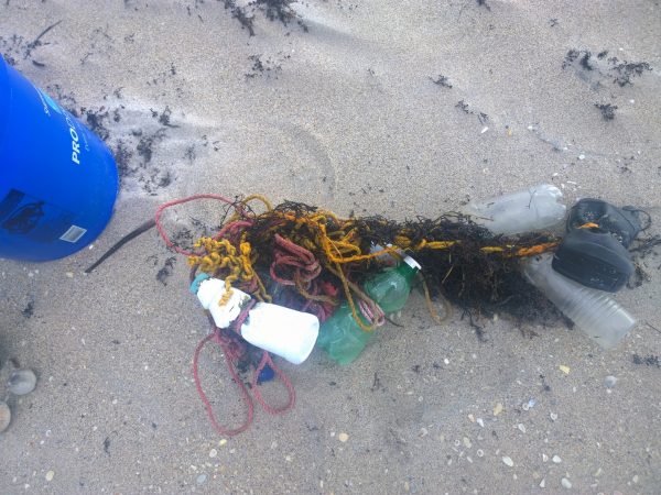 trash collected on beach. Image credit: Diane Buhler