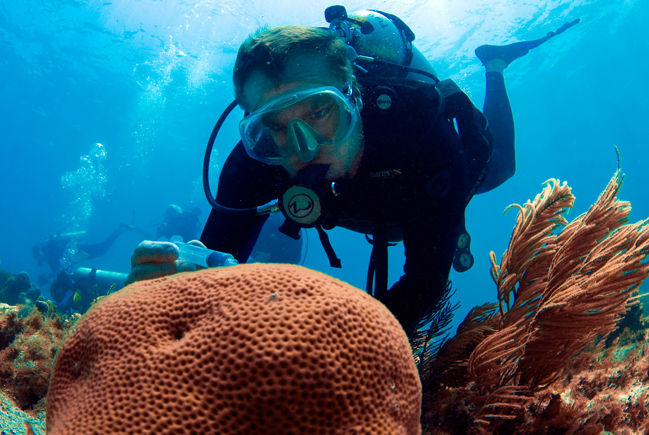 mike heithaus under water with coral
