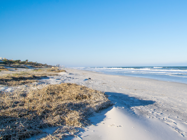 sandy white beach with brown foliage and a bright blue sky.