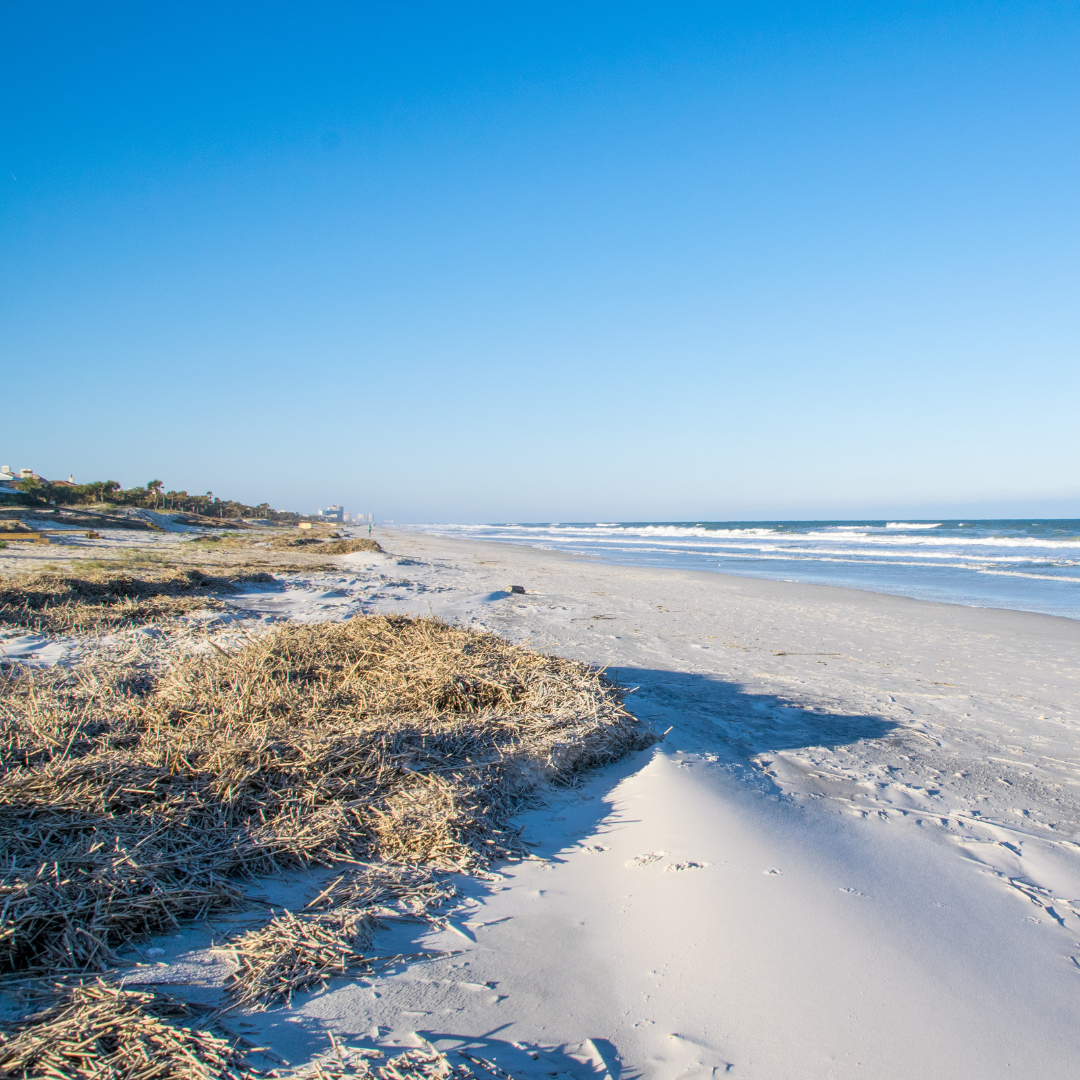 Beach nourishment in Florida – Thompson Earth Systems Institute