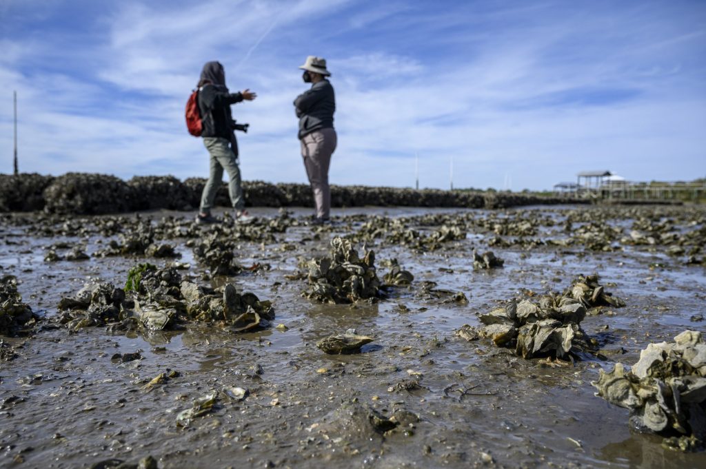 Wide shot of Lexi and Maria Pajuelo talking in the oyster reef at Cedar Key.