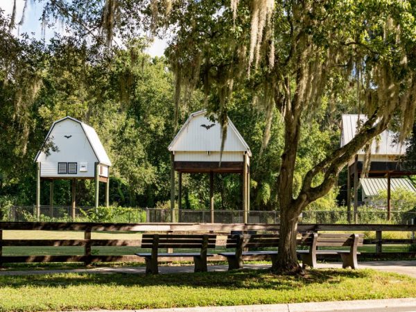 UF bat houses