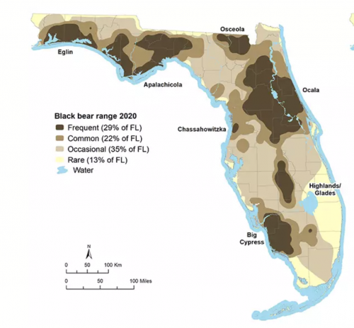 Map of Florida showing the color coordinated eight isolated areas where bears have been seen.