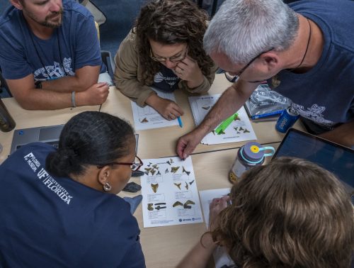 group of people measure shark teeth