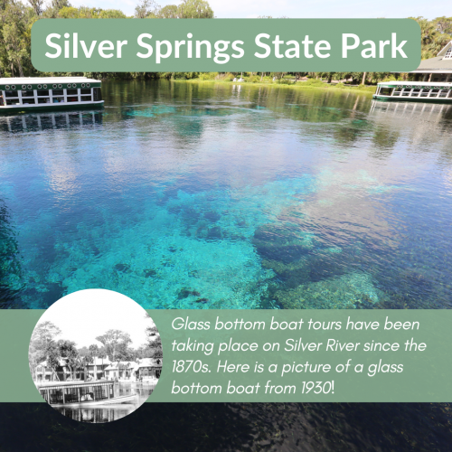 Silver Springs State Park