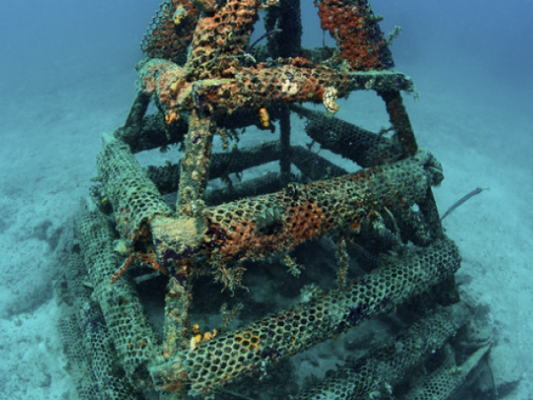 Artificial reef structure.