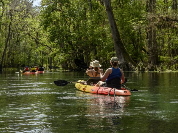 Two people in a tandem kayak on a river.