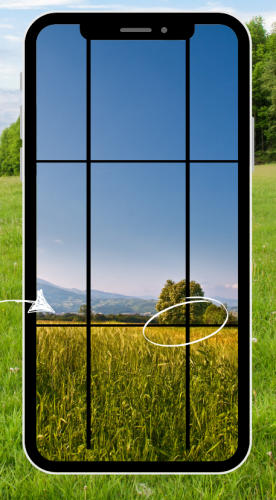 blue sky and green grass background.