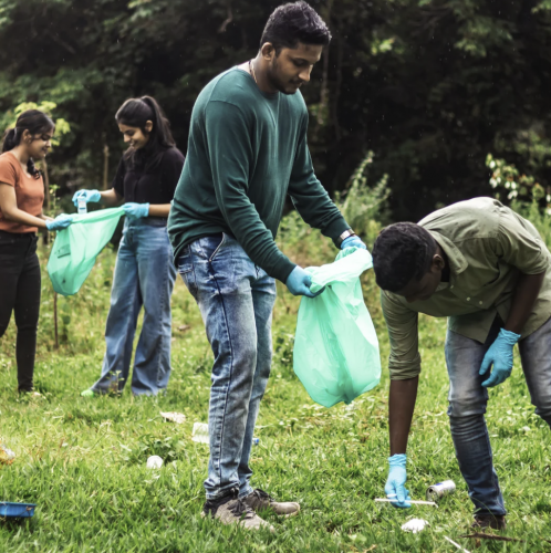 Canva Stock Image - Clean up group