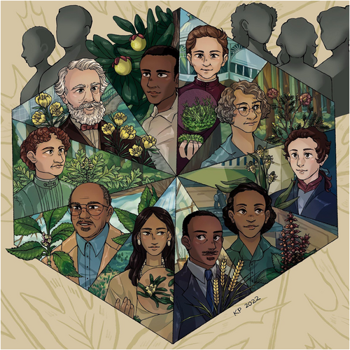 A contemporary illustration of some of the plant scientists highlighted in this paper. In clockwise order from the 12 o'clock position: Elizabeth Knight Britton with Eustichium norvegicum, Ynes Enriquetta Julietta Mexía with Mimosa mexiae, Israel Lyons with Plantago succisa (synonymous with P. lanceolata), Marie Clark Taylor with Salvia splendens, Thomas Wyatt Turner with Hordeum vulgare, Sacagawea with Lewisia sacajaweana, Lafayette Frederick with Cyrtandra frederickii (synonymous with C. dentata), Catherine Furbish with Pedicularis furbishae, Hugo de Vries with Oenothera grandiflora (synonymous with O. lamarckiana), and Percy Gentle with Clusia gentlei. Importantly, at the top, we recognize the countless nameless contributors to the field. Artwork by Kasey Pham. CC BY-NC-SA.